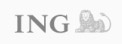 ING Bank �l�ski